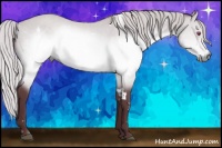 Horse Color:White Spotted Chocolate Silver Brown Chinchilla Sabino 