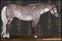 Horse Color:White Spotted Chocolate Silver Black Chinchilla Sabino 