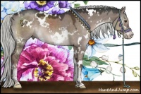 Horse Color:White Spotted Liver Red Dun Mushroom Sabino 