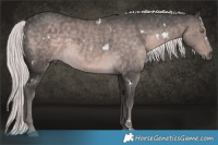 Horse Color:Platinum White Spotted Chocolate Palomino