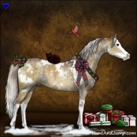 Horse Color:White Spotted Chocolate Silver Buckskin Dun Splash Brindle