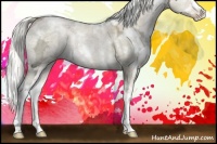 Horse Color:White Spotted Liver Red Dun Ice Pearl Sabino Splash 