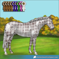 Horse Color:Plaid  White Spotted Chocolate Silver Black Chinchilla