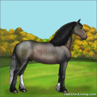 Horse Color:Gray Platinum Buckskin 