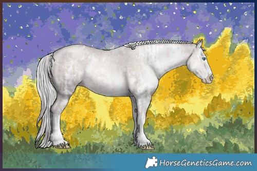 Horse Color:Platinum White Spotted Chocolate Palomino Pearl Sabino Rabicano  and Platinum White Spotted Chocolate Palomino Pearl Sabino Rabicano 