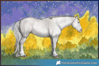 Horse Color:Platinum White Spotted Chocolate Palomino Pearl Sabino Rabicano and Platinum White Spotted Chocolate Palomino Pearl Sabino Rabicano