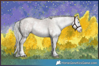 Horse Color:Platinum White Spotted Chocolate Palomino Pearl Sabino Rabicano and Platinum White Spotted Chocolate Palomino Pearl Sabino Rabicano