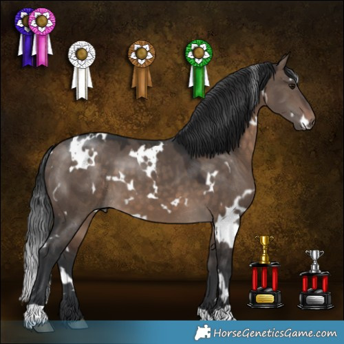 Horse Color:White Spotted Brown Dun 