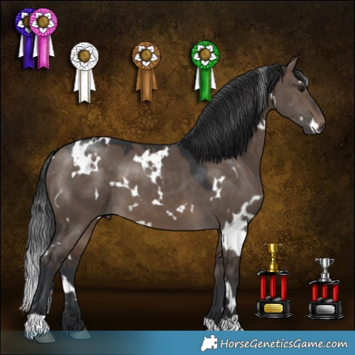 Horse Color:White Spotted Brown Dun 