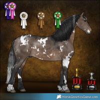 Horse Color:White Spotted Brown Dun 