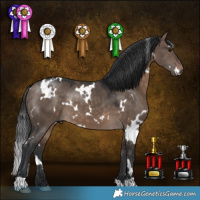 Horse Color:White Spotted Brown Dun 