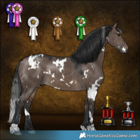 Horse Color:White Spotted Brown Dun