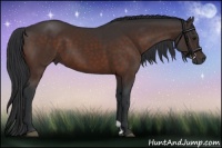 Horse Color:Brown Mushroom 