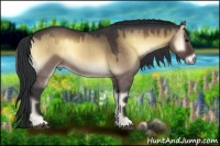Horse Color:Brown Onyx 