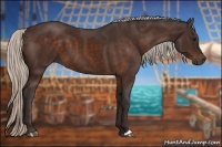 Horse Color:Silver Brown 