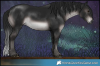 Horse Color:Gray Platinum Brown