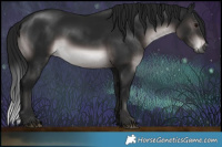 Horse Color:Gray Platinum Brown