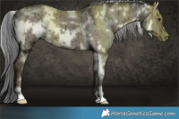 Horse Color:Platinum White Spotted Liver Red Dun Mushroom Brindle
