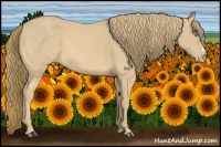 Horse Color:Perlino 