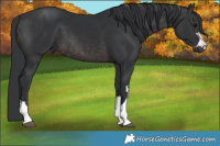 Horse Color:Platinum Brown 