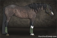 Horse Color:Platinum Brown 