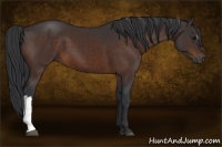 Horse Color:Brown 