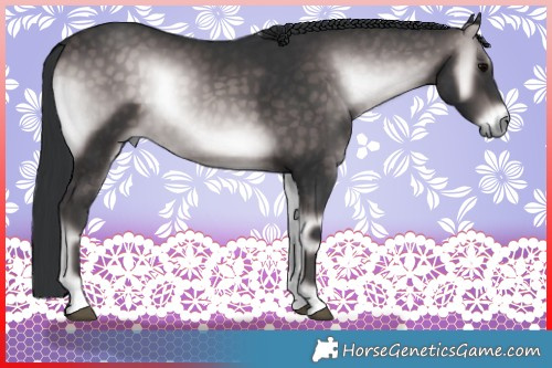Horse Color:Platinum Brown Onyx