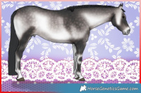 Horse Color:Platinum Brown Onyx 
