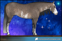 Horse Color:White Spotted Brown Dun 