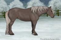Horse Color:Silver Black Sabino 