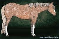 Horse Color:Silver Bay Ice 
