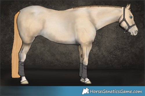 Horse Color:Smoky Black Pearl 