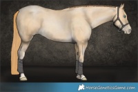Horse Color:Smoky Black Pearl 