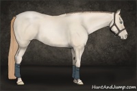 Horse Color:Smoky Black Pearl 