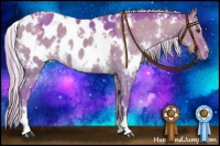Horse Color:Watercolor White Spotted Chocolate Palomino Dun Appaloosa