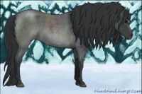 Horse Color:Blue Roan 