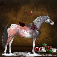 Horse Color:White Spotted Grullo Onyx Tobiano Brindle