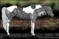 Horse Color:Silver Smoky Blue Chinchilla Roan Tobiano 