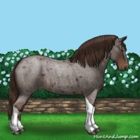 Horse Color:Liver Red Roan Tobiano 