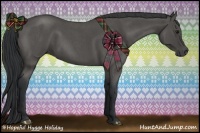 Horse Color:Blue Roan