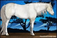 Horse Color:White Spotted Chocolate Palomino Roan Dun 