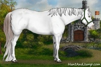 Horse Color:White Spotted Liver Red Dun 