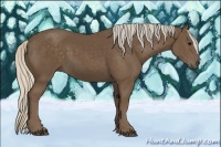 Horse Color:Silver Black 