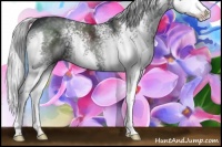 Horse Color:White Spotted Silver Black Chinchilla Splash