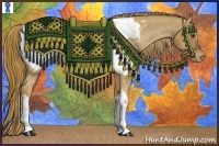 Horse Color:Chestnut Appaloosa 