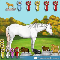 Horse Color:Classic Champagne Splash Tobiano Appaloosa Rabicano