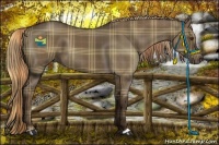 Horse Color:Plaid  Liver Red Dun 