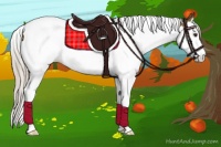 Horse Color:Chocolate Palomino Splash Tobiano