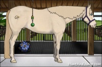 Horse Color:Perlino 
