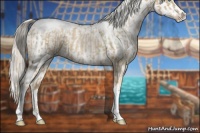 Horse Color:Chocolate Palomino Pearl Tobiano Frame  and Chocolate Palomino Pearl Tobiano Frame Appaloosa 